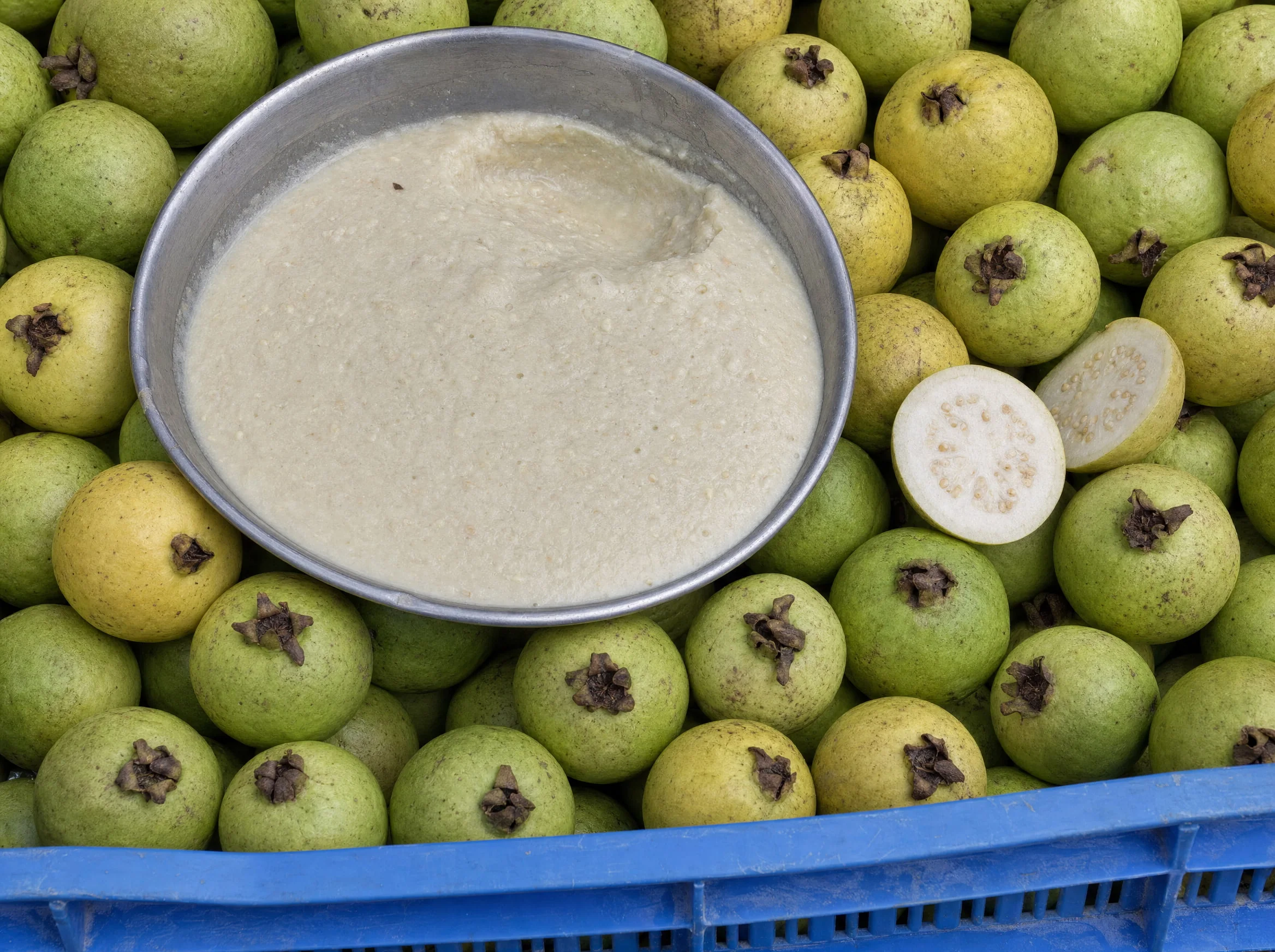 A steel pan of pale ivory guava puree set down among whole guavas in a harvest crate, with one fruit halved to show its white seedy flesh